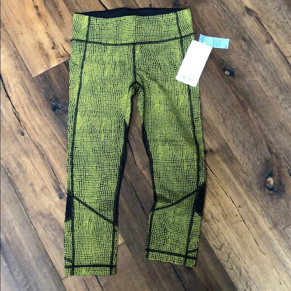 Pace Rival Crop
